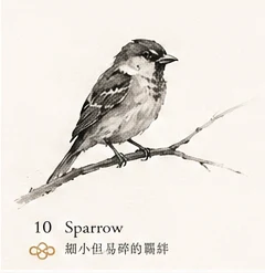 Sparrow · Fragile Bond