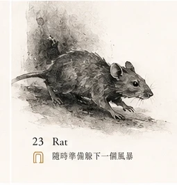 Rat · Survival Anxiety