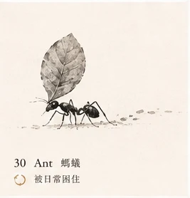 Ant · Routine
