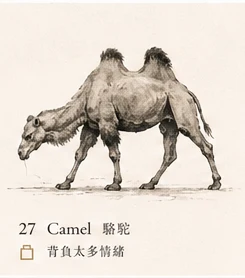 Camel · Emotional Carry