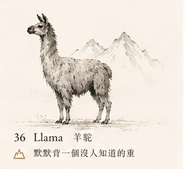 Llama · Silent Burden