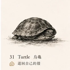 Turtle · Withdrawal