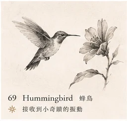 Hummingbird · Miracle Frequency