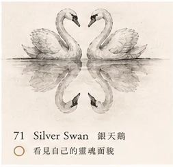 Silver Swan · Soul Reflection