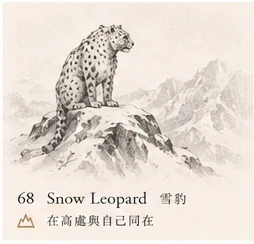 Snow Leopard · Higher Solitude