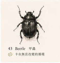 Beetle · Stagnation