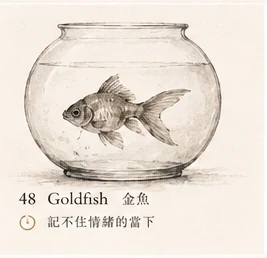 Goldfish · Fleeting Memory